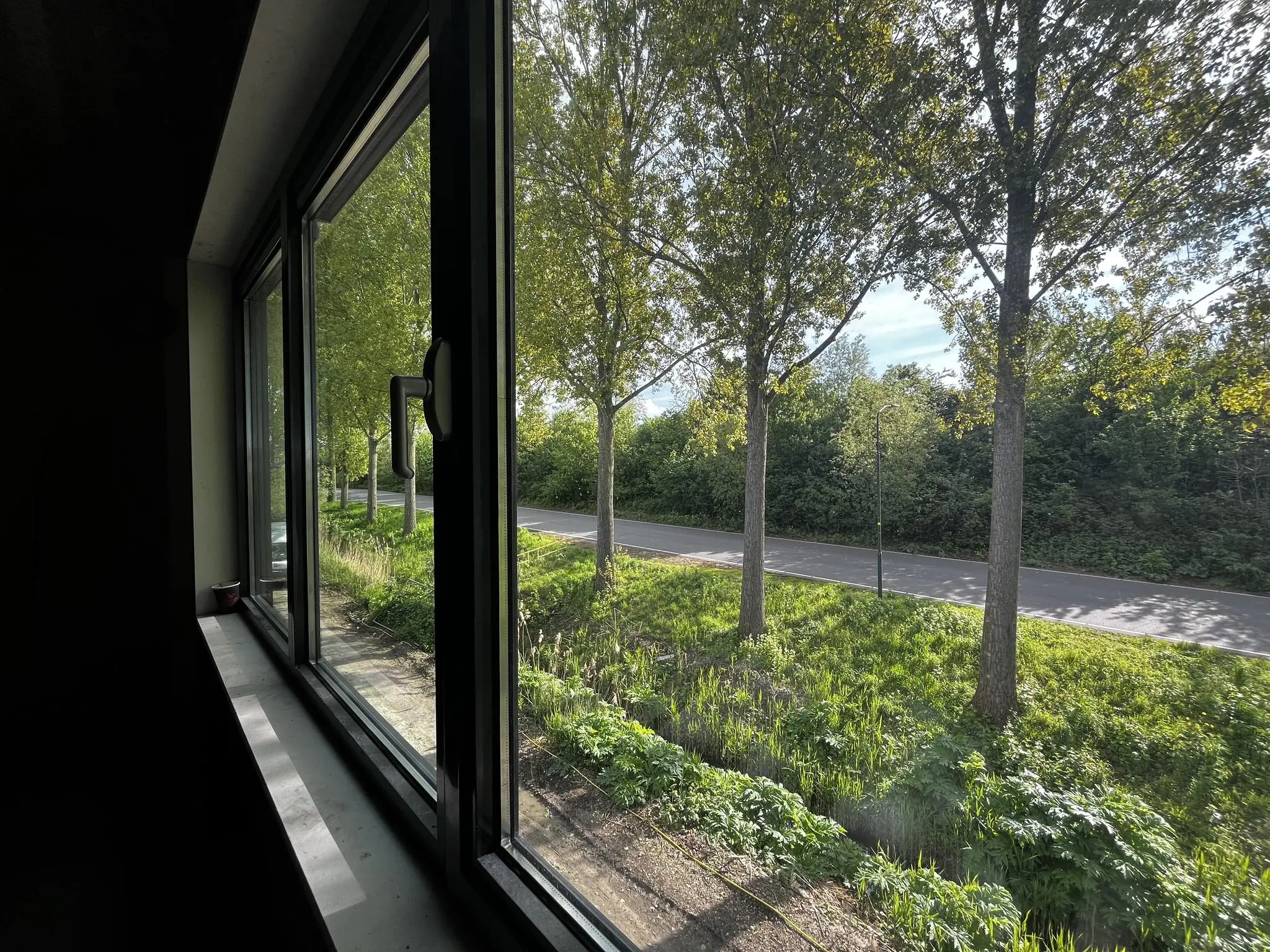 Uitzicht vanuit een open raam op Broekdijk West met een rij bomen langs een rustige weg op een zonnige dag.